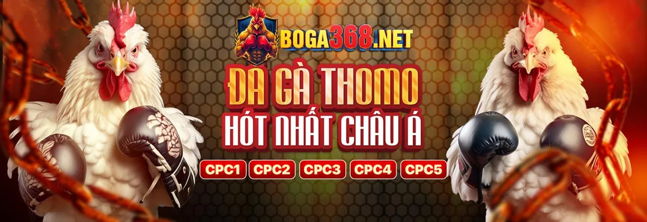 Đá Gà f8 et: Sân đấu đỉnh cao